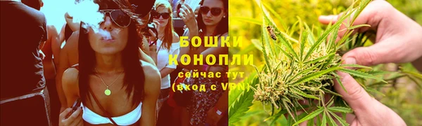 спиды Алексеевка