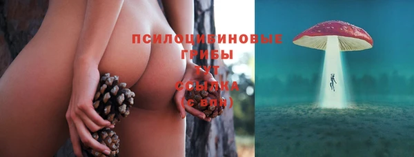 не бодяженный Михайлов