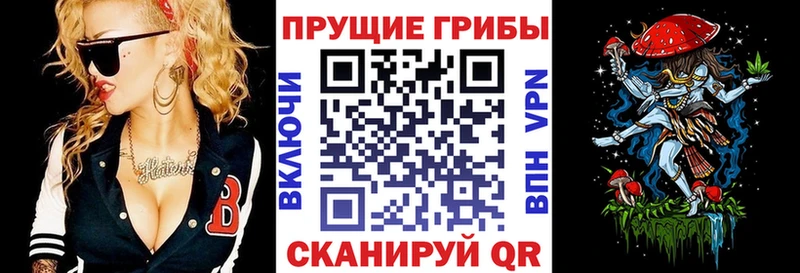 продажа наркотиков  Томск  Псилоцибиновые грибы Magic Shrooms 