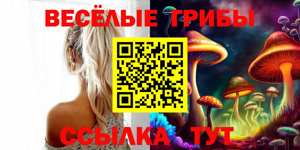 Псилоцибиновые грибы Psilocybine cubensis Томск