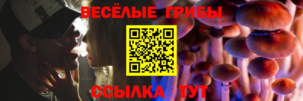 Томск  Галлюциногенные грибы MAGIC MUSHROOMS  наркота  Вход с VPN 