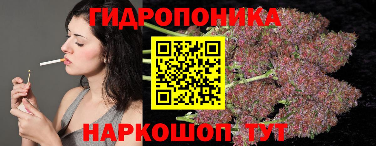 Шишки марихуана гибрид Томск
